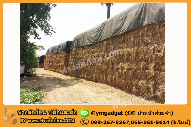 ฟางอัดก้อน02
