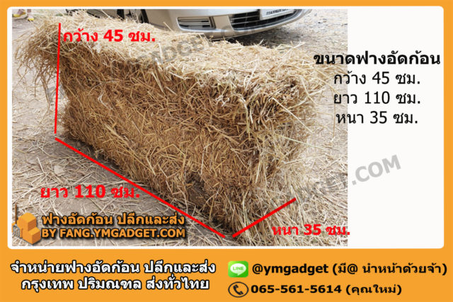 ขนาด ฟางอัดก้อน กว้าง ยาว สูง