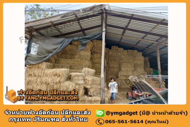 ฟางอัดก้อน03