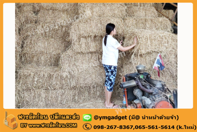 ฟางอัดก้อน04