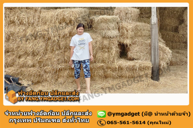 ฟางอัดก้อน04