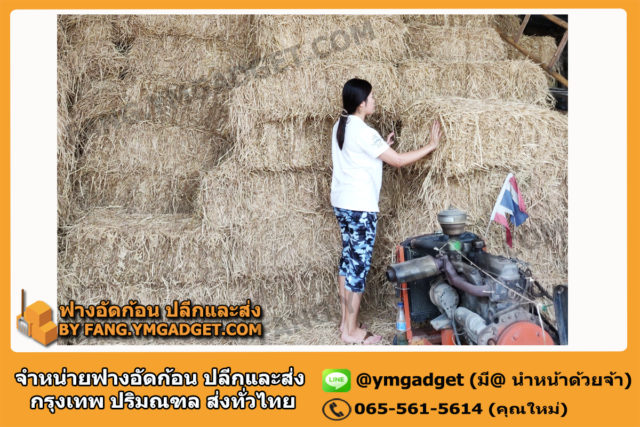 ฟางอัดก้อน05