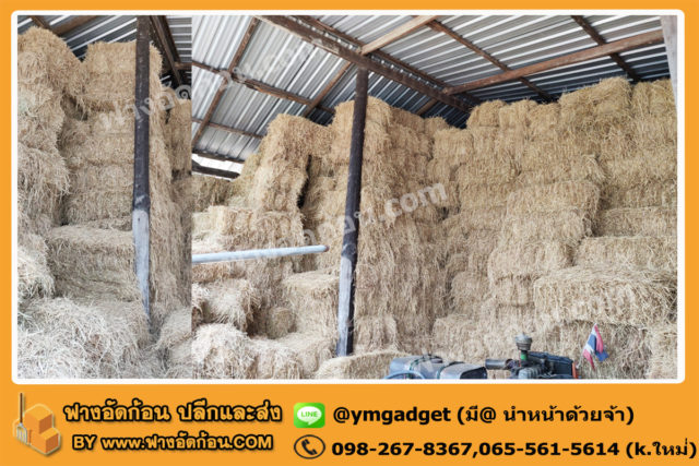 ฟางอัดก้อน06