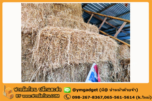 ฟางอัดก้อน07