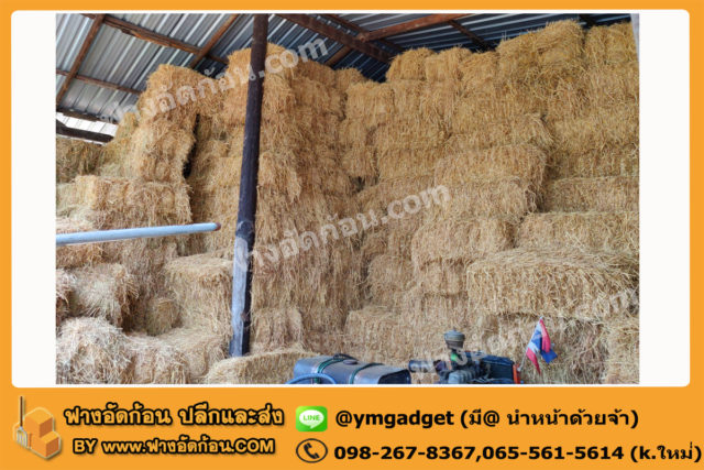ฟางอัดก้อน08