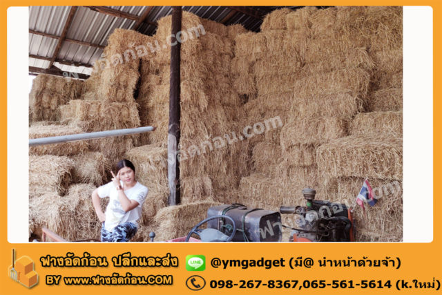 ฟางอัดก้อน09