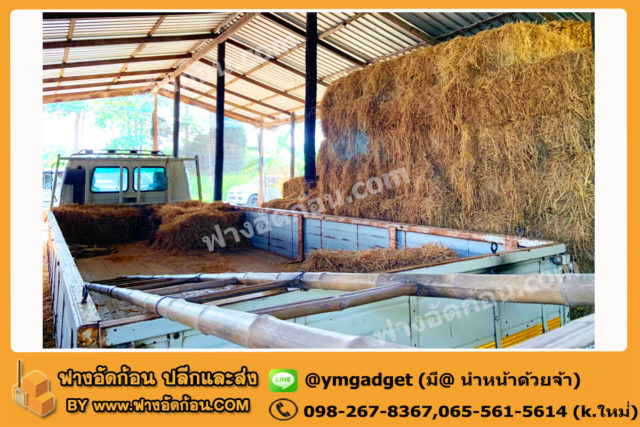 ฟางอัดก้อน10