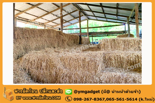 ฟางอัดก้อน11