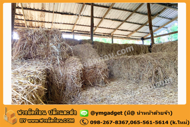 ฟางอัดก้อน12