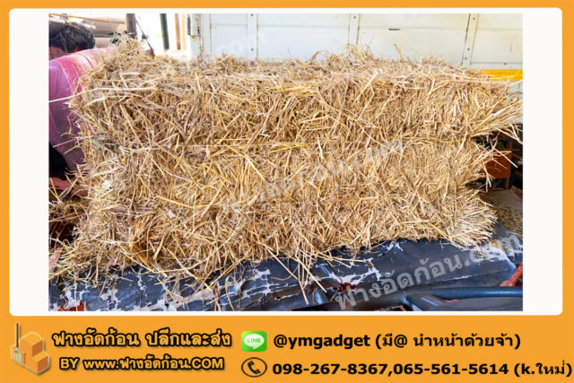 ฟางอัดก้อน13