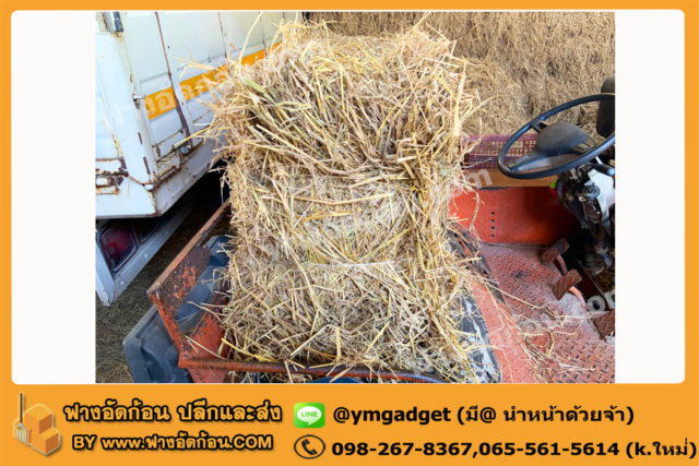 ฟางอัดก้อน14
