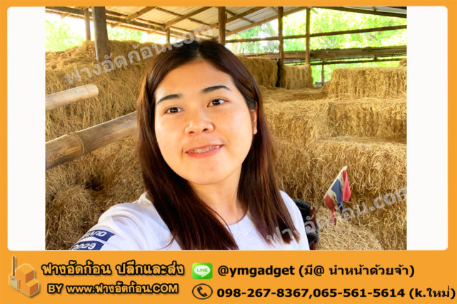 ฟางอัดก้อน15