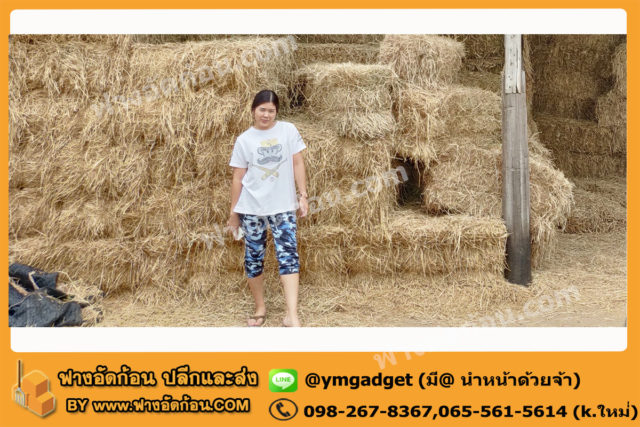 ฟางอัดก้อน