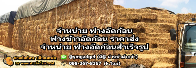 ฟางอัดก้อน-cover