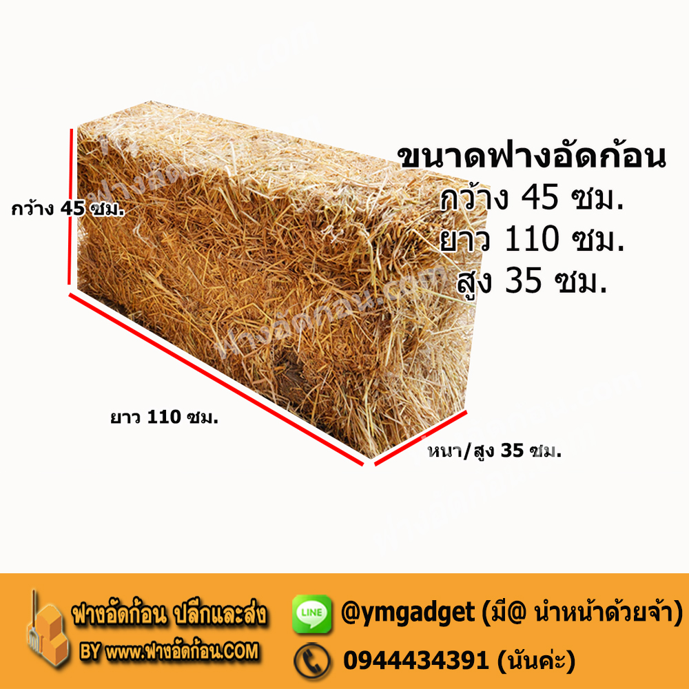 ขนาดฟางอัดก้อน
